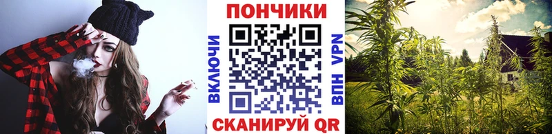 Каннабис индика  Рыбное 